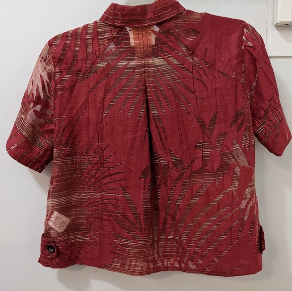 Sheer Button Down - Picture 4 of 5